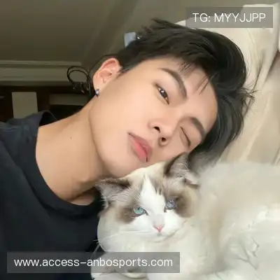朱晶丹